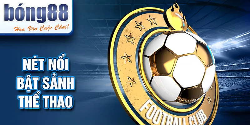 Nét nổi bật sảnh thể thao Nét nổi bật sảnh thể thao