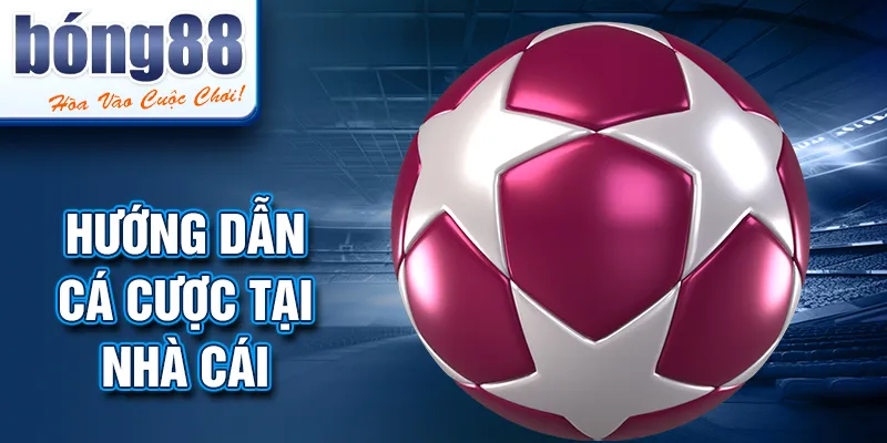 Hướng dẫn cá cược tại nhà cái Hướng dẫn cá cược tại nhà cái